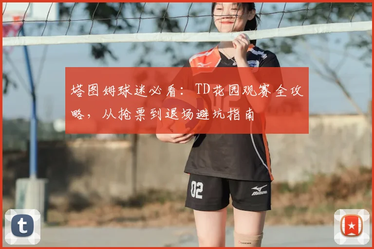 塔图姆球迷必看：TD花园观赛全攻略，从抢票到退场避坑指南