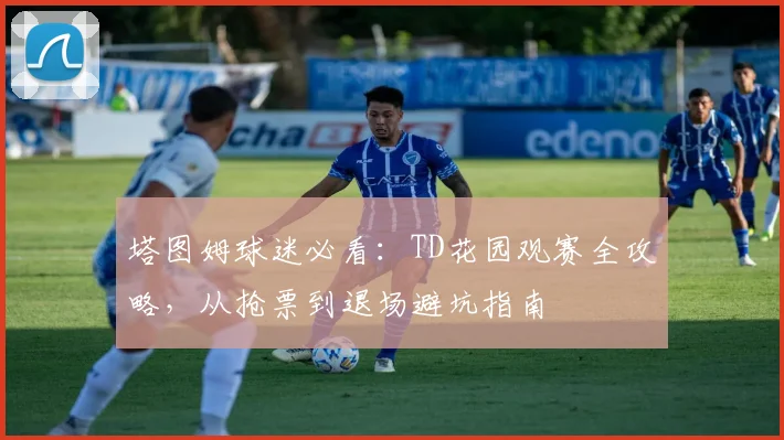 塔图姆球迷必看:TD花园观赛全攻略,从抢票到退场避坑指南